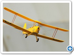 Tiger-Moth_9414
