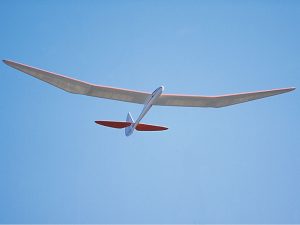 Great Planes Bird of Time EP - Fly RC Magazine