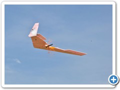 A wing take a hit on the motor in the paintball shootout