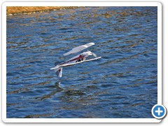 A Fun Cub attempts a tail touch in Lake Hodges